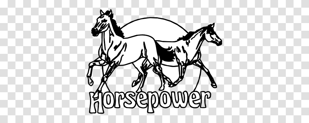 Horses Animals, Mammal, Stencil, Poster Transparent Png