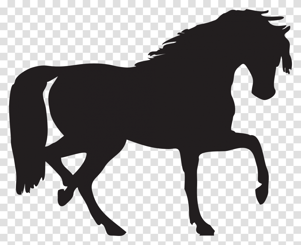 Horses Black And White Horse Silhouette Clip Art, Stencil, Mammal, Animal, Colt Horse Transparent Png