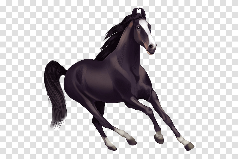 Horses Clipart, Mammal, Animal, Colt Horse, Stallion Transparent Png