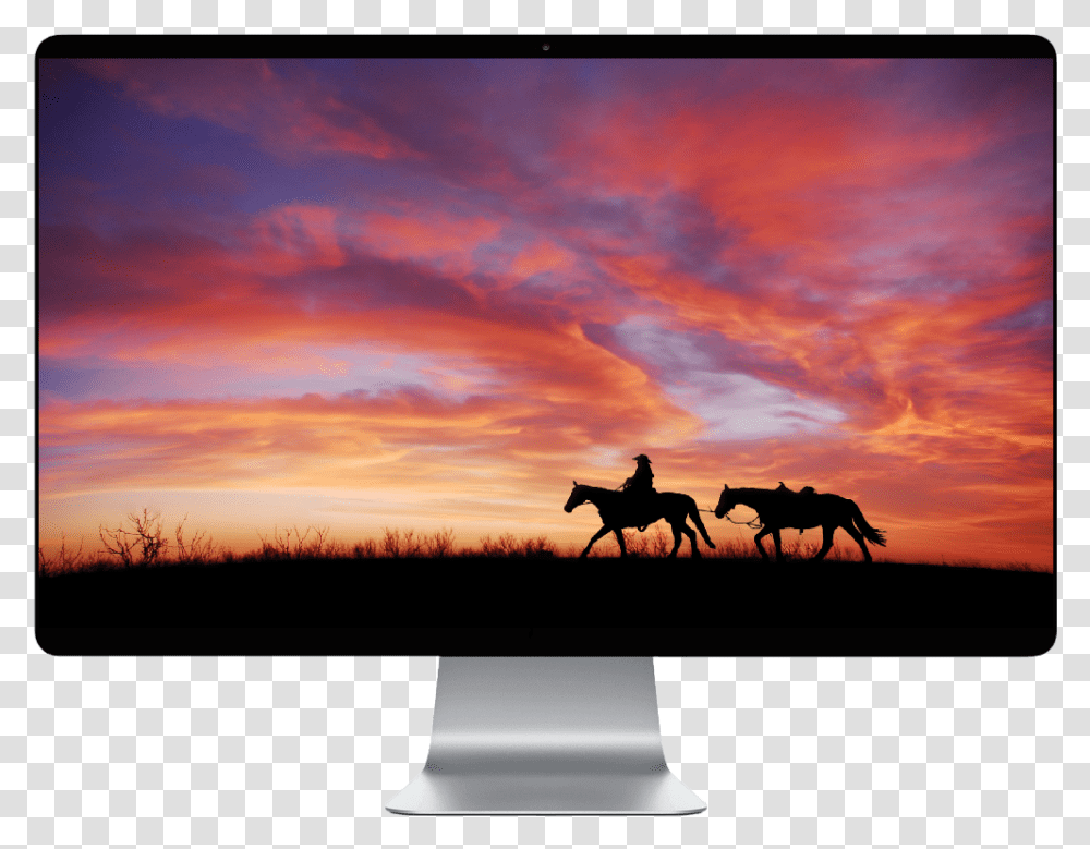 Horses In The Sunset Download Horses In The Sunset, Mammal, Animal, Outdoors, Nature Transparent Png