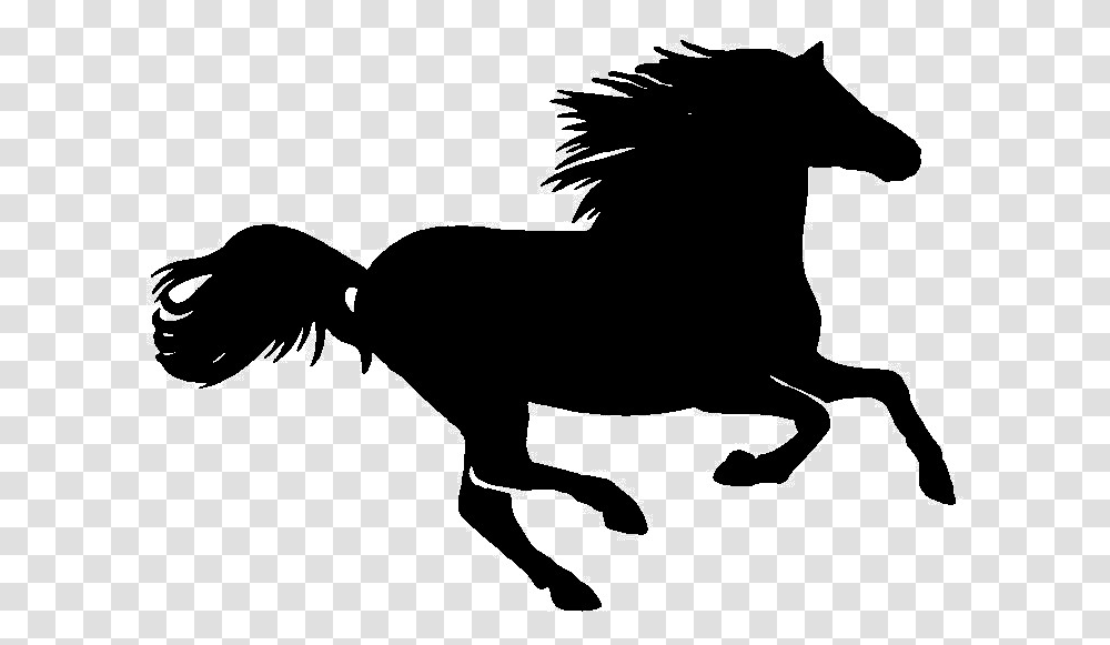 Horses Riding Gif, Silhouette, Insect, Invertebrate, Animal Transparent Png