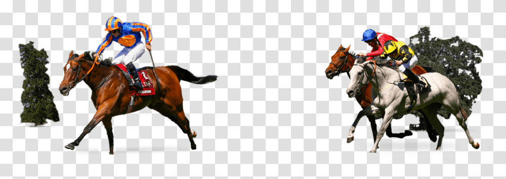 Horses Running In A Race Steeplechase, Person, Mammal, Animal, Helmet Transparent Png