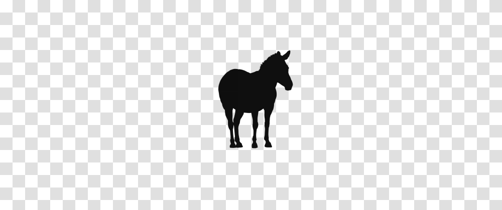 Horses Wild Sanctuary Ranch Animal Livestock Background Image, Mammal, Silhouette, Foal, Colt Horse Transparent Png