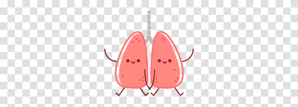 Hospital Pulmonology, Plant, Fruit, Food, Watermelon Transparent Png