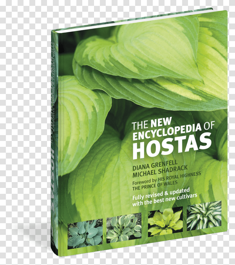 Hosta The New Encyclopedia Of Hostas, Plant, Vegetable, Food, Produce Transparent Png