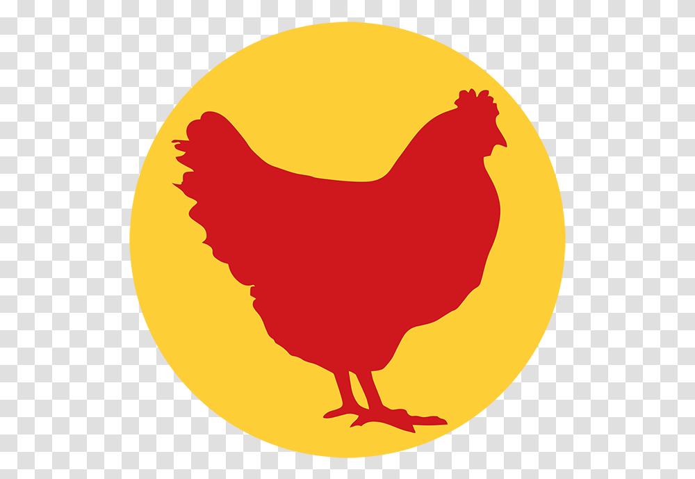 Hot Chicken Comb, Bird, Animal, Fowl, Poultry Transparent Png