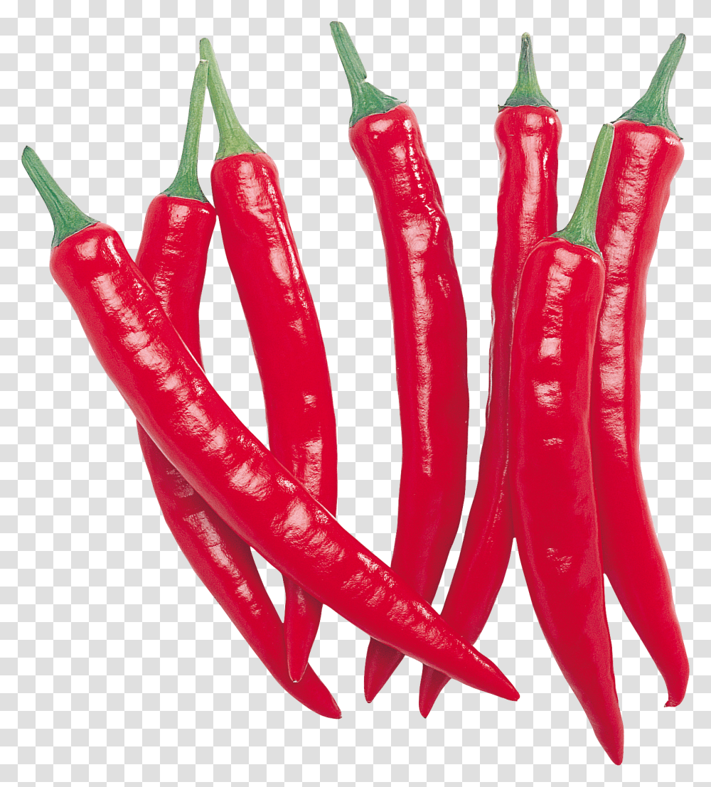 Hot Chili Pepper One Isolated Stock Photo, Plant, Vegetable, Food, Bell Pepper Transparent Png