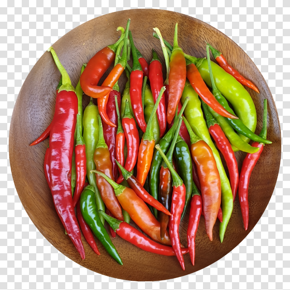 Hot Chilli Pepper Green Chilli Red Chilli Bird's Eye Chili, Hot Dog, Food, Plant, Vegetable Transparent Png