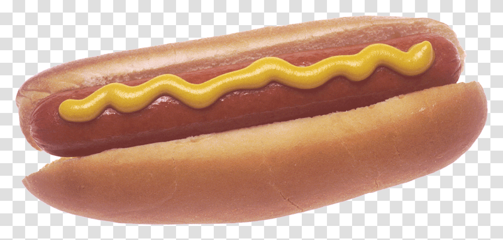 Hot Dog, Food, Ketchup Transparent Png