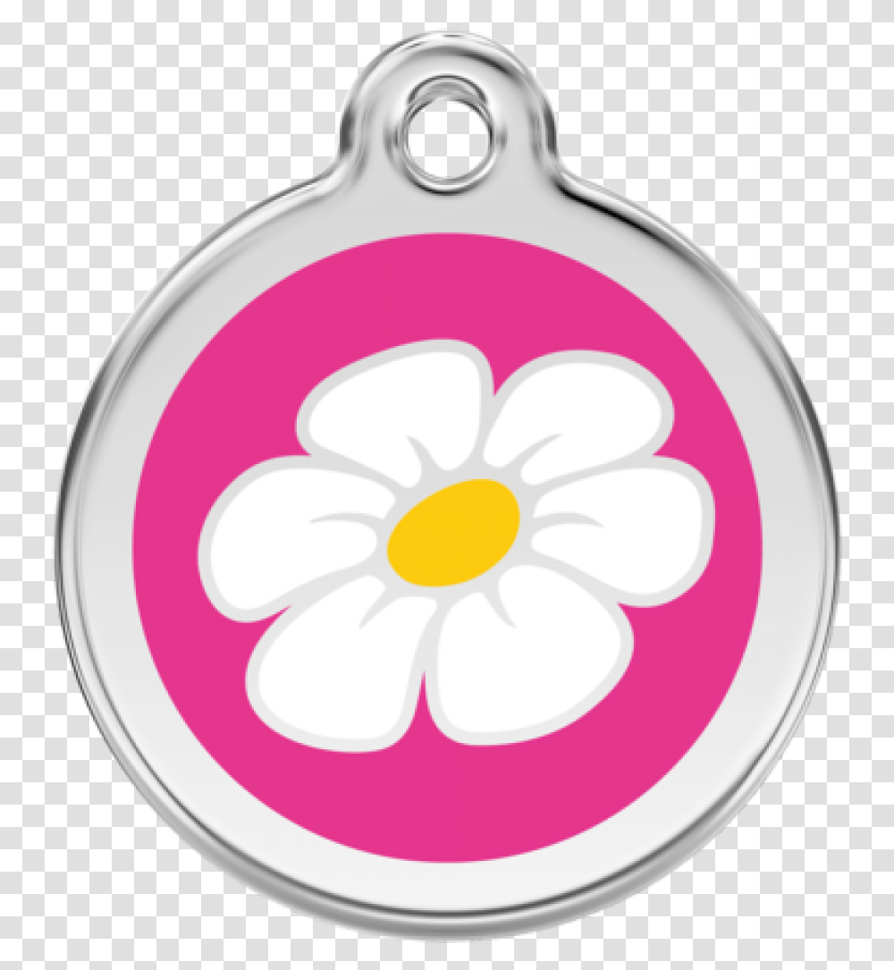 Hot Pink Daisy Pet Tag, Flower, Plant, Blossom, Ornament Transparent Png