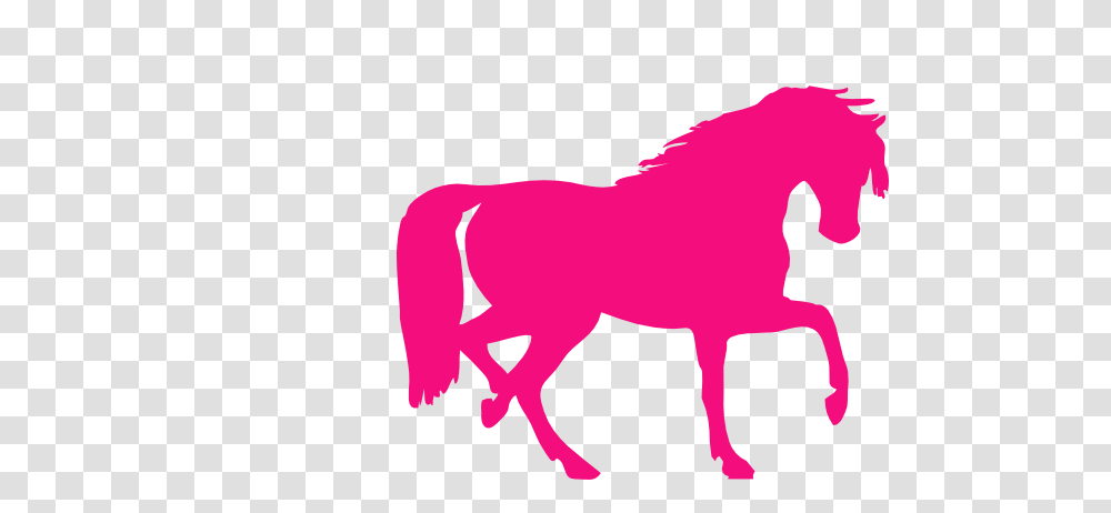 Hot Pink Horse Clip Art, Mammal, Animal, Cow, Cattle Transparent Png