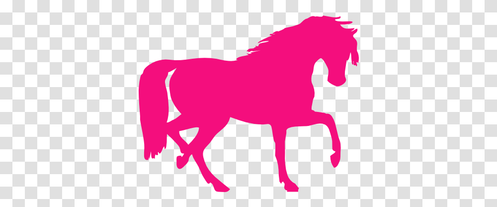 Hot Pink Horse Clip Art, Mammal, Animal, Wildlife, Person Transparent Png