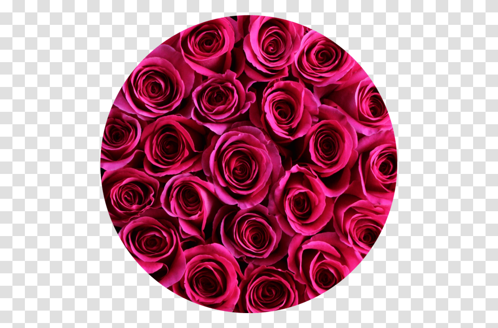 Hot Pink Roses In Round Flower Box Round Round Flower, Floral Design, Pattern Transparent Png
