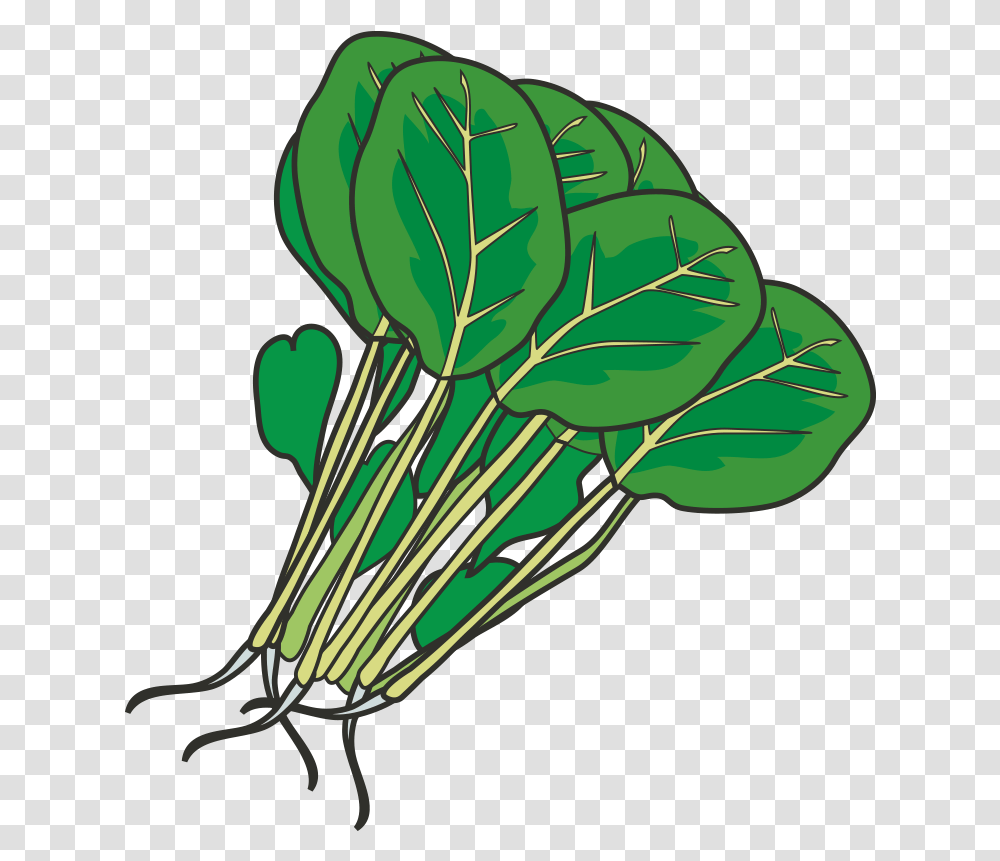 Hot Pot Leaf Vegetable Spinach Clip Art Spinach Clipart, Plant, Food, Produce, Mixer Transparent Png
