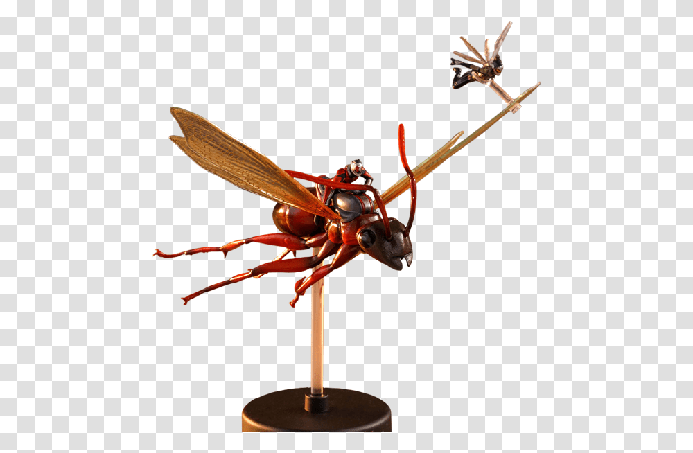 Hot Toys Ant Man And The Wasp Fly, Bee, Insect, Invertebrate, Animal Transparent Png