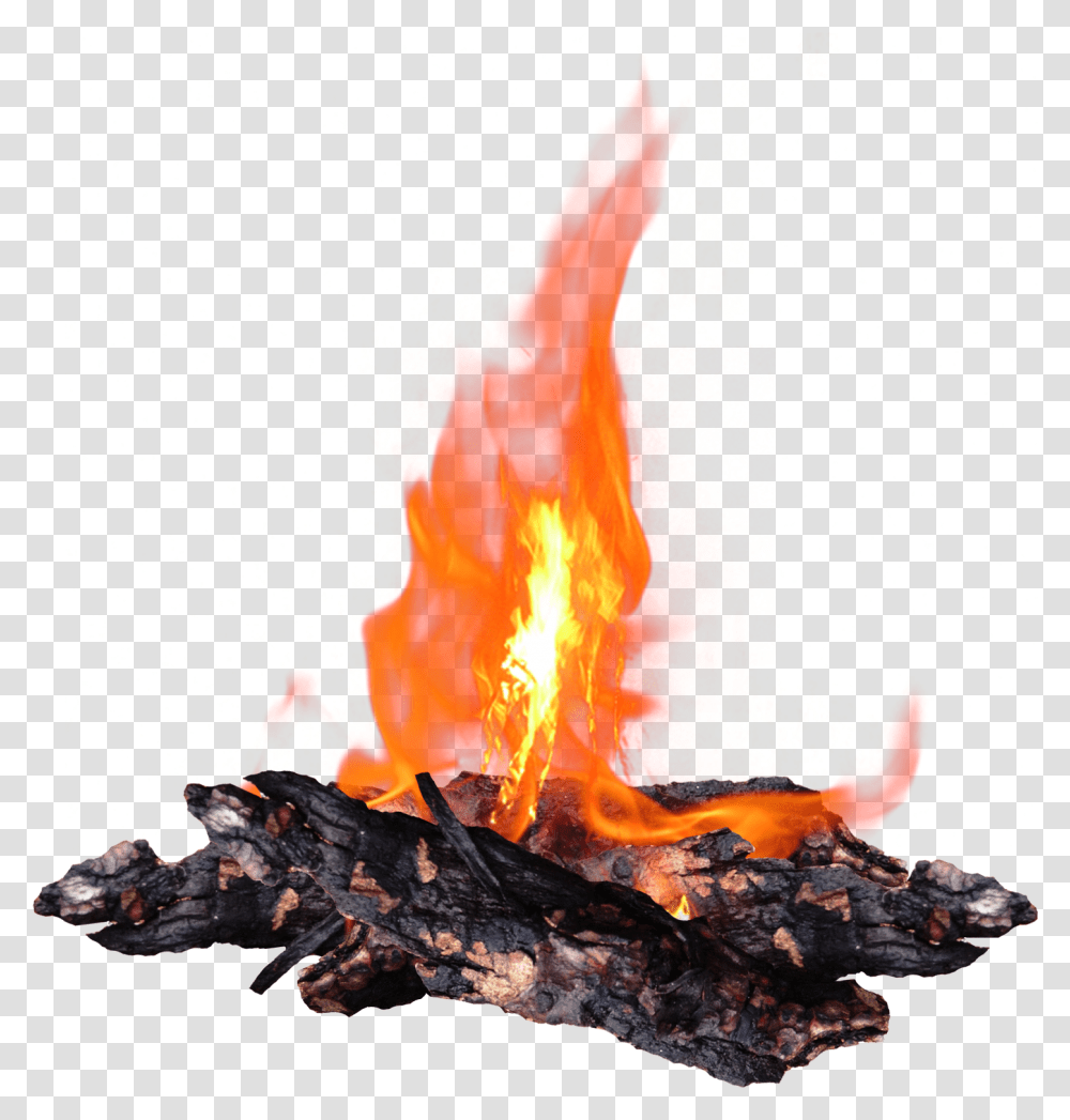 Hotdog Clipart Campfire Free Bonfire, Flame Transparent Png