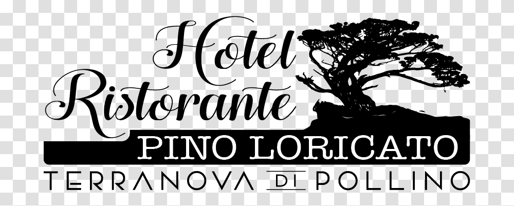 Hotel Pino Loricato Tree, Alphabet, Word Transparent Png