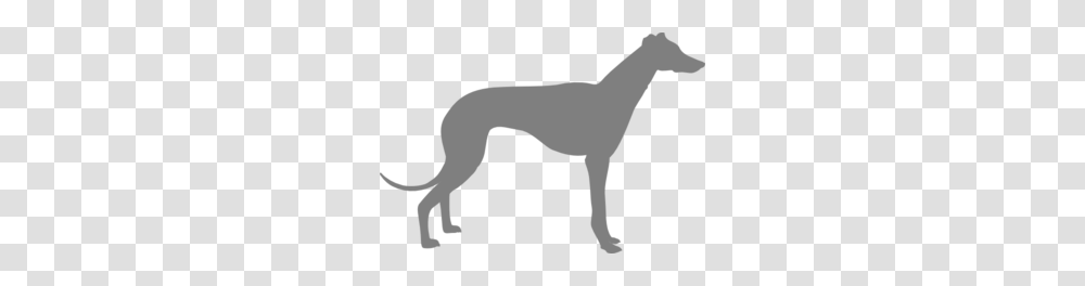 Hound Clipart, Animal, Mammal, Wildlife, Gazelle Transparent Png