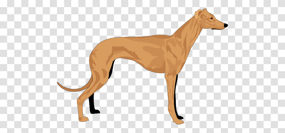 Hound Cliparts, Animal, Horse, Mammal, Antelope Transparent Png