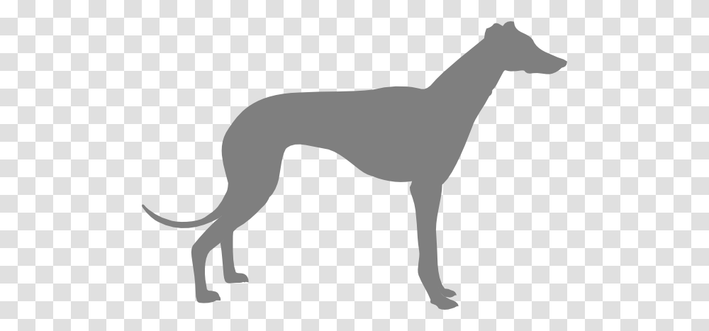 Hound Cliparts, Animal, Mammal, Reptile, Dinosaur Transparent Png