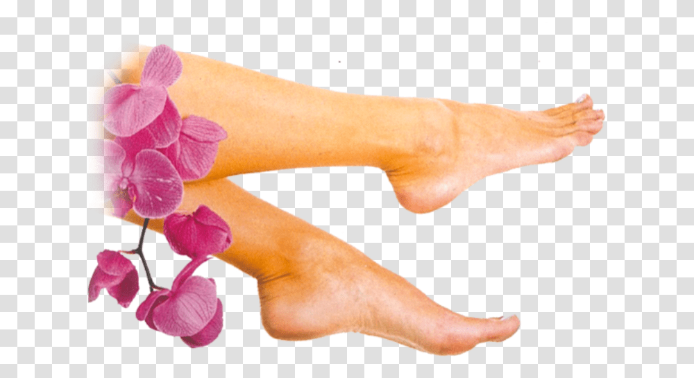 Hour Softsole Express, Heel, Person, Human, Plant Transparent Png