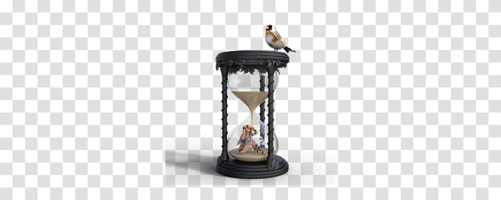 Hourglass Person, Bird, Animal, Mixer Transparent Png