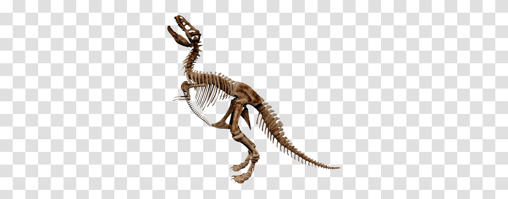 Hours Directions, Lizard, Reptile, Animal, Skeleton Transparent Png