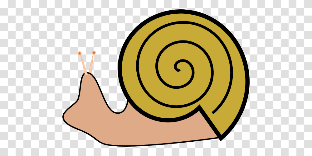 House Clipart Snail, Invertebrate, Animal, Spiral Transparent Png