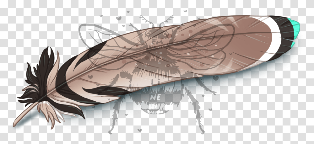 House Fly, Insect, Invertebrate, Animal, Airplane Transparent Png