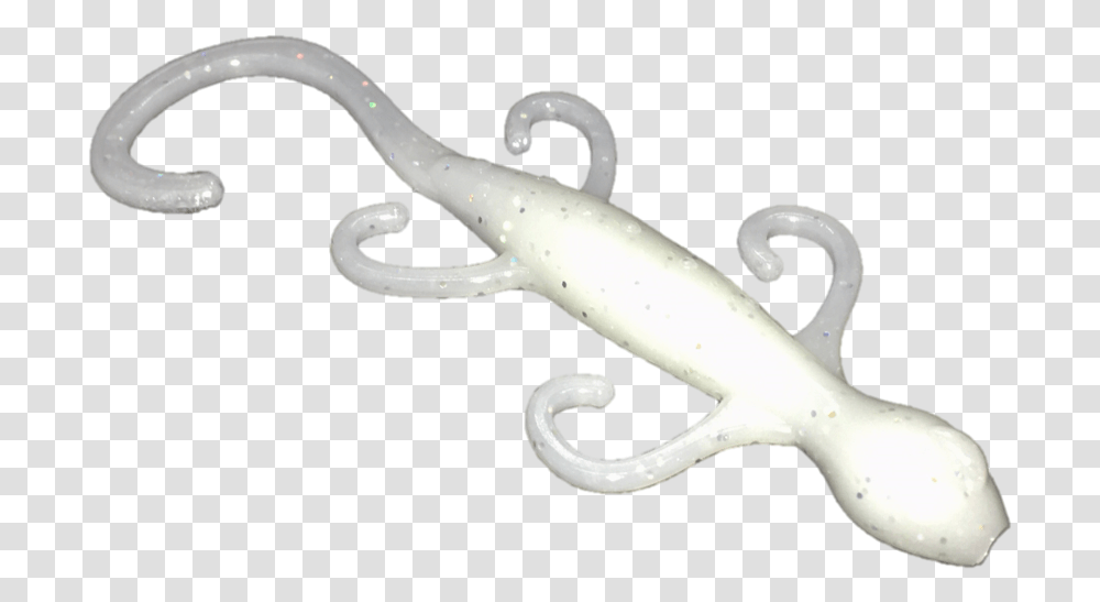 House Gecko, Sea Life, Animal, Squid, Seafood Transparent Png