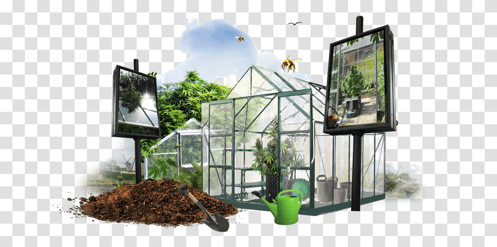 House, Greenhouse, Tabletop, Outdoors, Rainforest Transparent Png