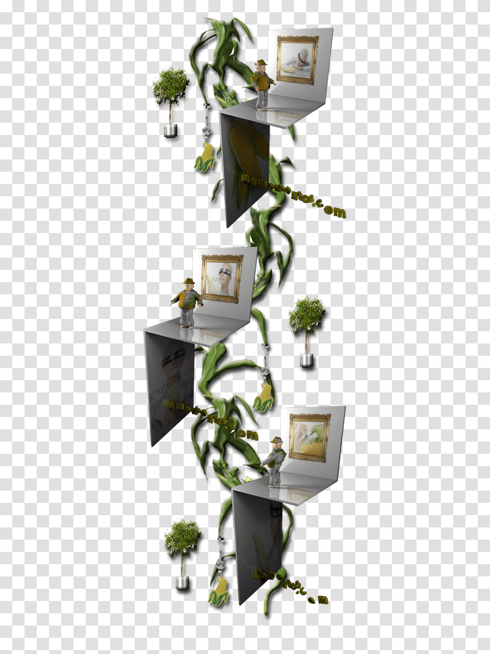 House, Person, Plant, Flower Transparent Png