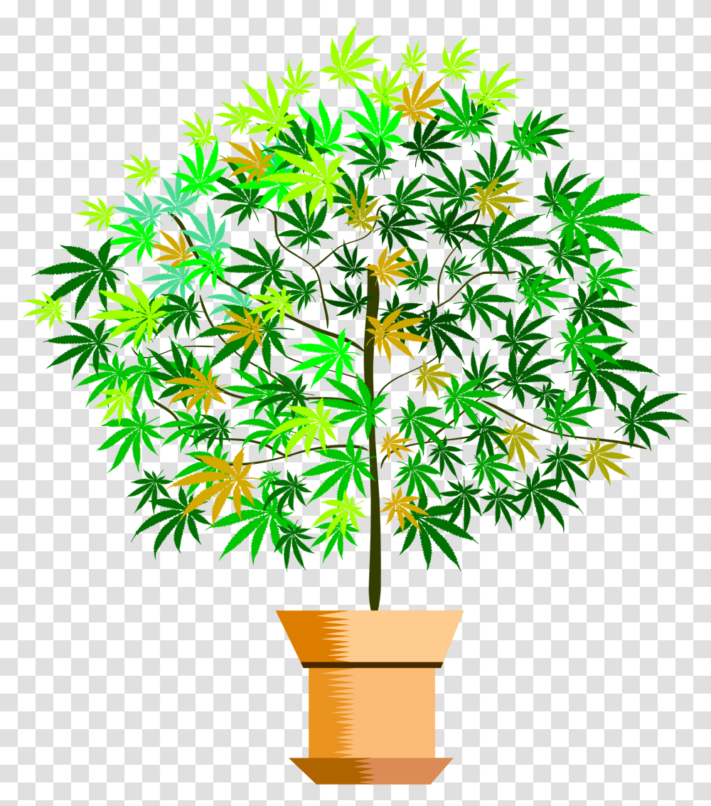 House Plant Clipart Picture Download Clipart Image Of Big Tree Flower Pot, Light, Pattern, Lighting Transparent Png