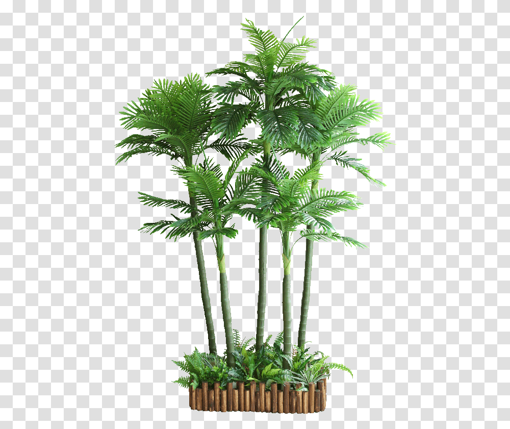 House Plant Cut Out, Tree, Palm Tree, Arecaceae, Leaf Transparent Png