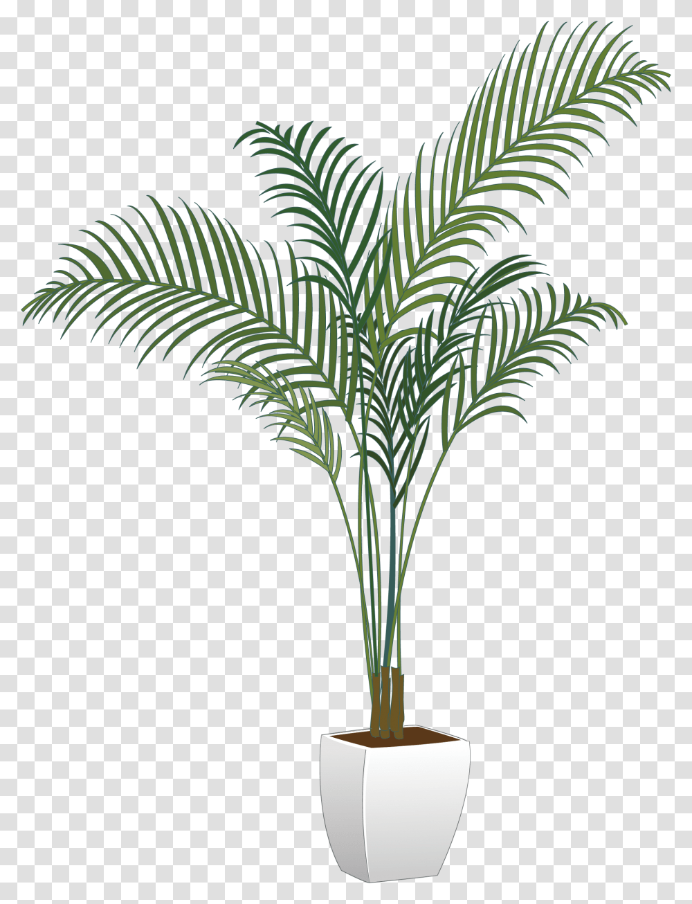 House Plant Potted Plant, Tree, Palm Tree, Arecaceae, Lamp Transparent Png