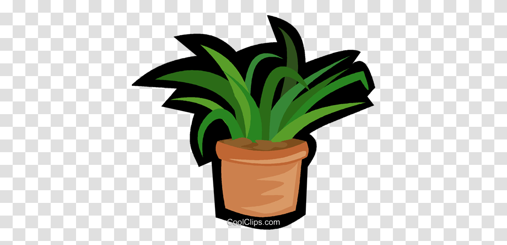 House Plant Yucca Plant Royalty Free Vector Clip Art Illustration, Tree, Palm Tree, Arecaceae, Pot Transparent Png