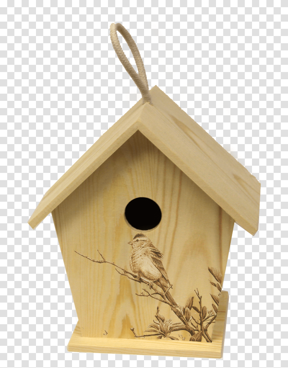 House Sparrow, Bird, Animal, Bird Feeder, Cross Transparent Png