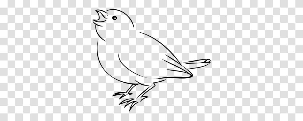 House Sparrow Bird Finches Lark, Gray, World Of Warcraft Transparent Png
