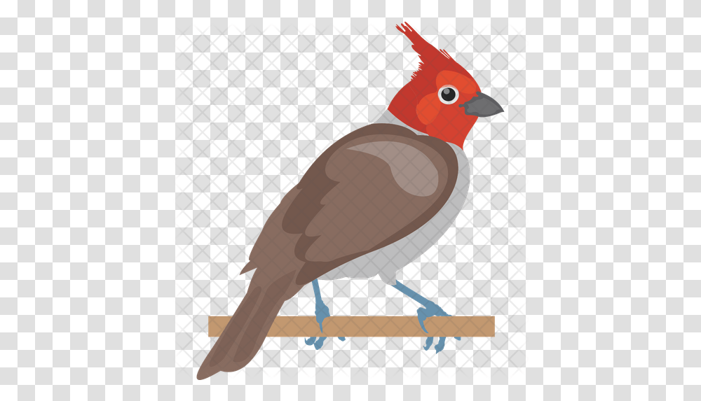 House Sparrow Icon Northern Cardinal, Bird, Animal, Beak, Airplane Transparent Png