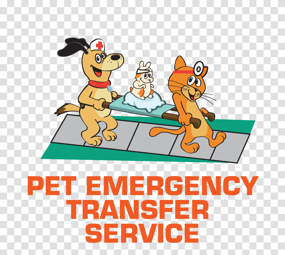 Housepaws Veterinarian Services In Nj Pa, Outdoors, Animal, Nature, Mammal Transparent Png