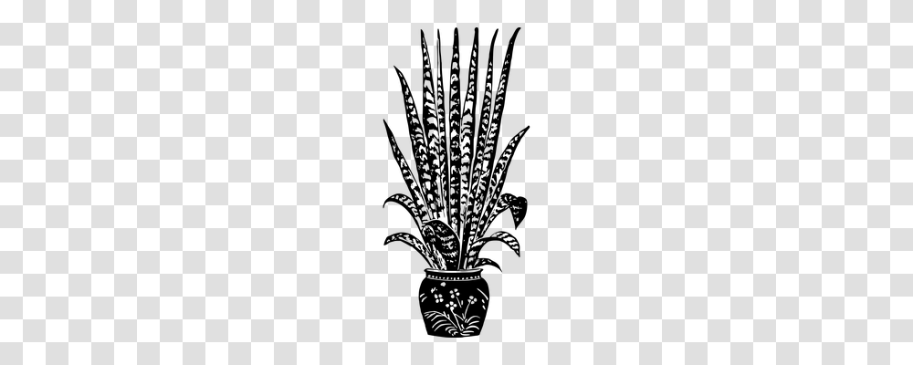 Houseplant Nature, Gray, World Of Warcraft Transparent Png