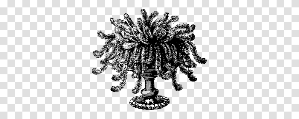 Houseplant Nature, Gray, World Of Warcraft Transparent Png