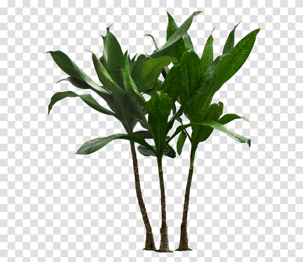 Houseplant Flowerpot Clip Art Palm Trees Plants Background Plant Pot, Leaf, Arecaceae, Blossom Transparent Png