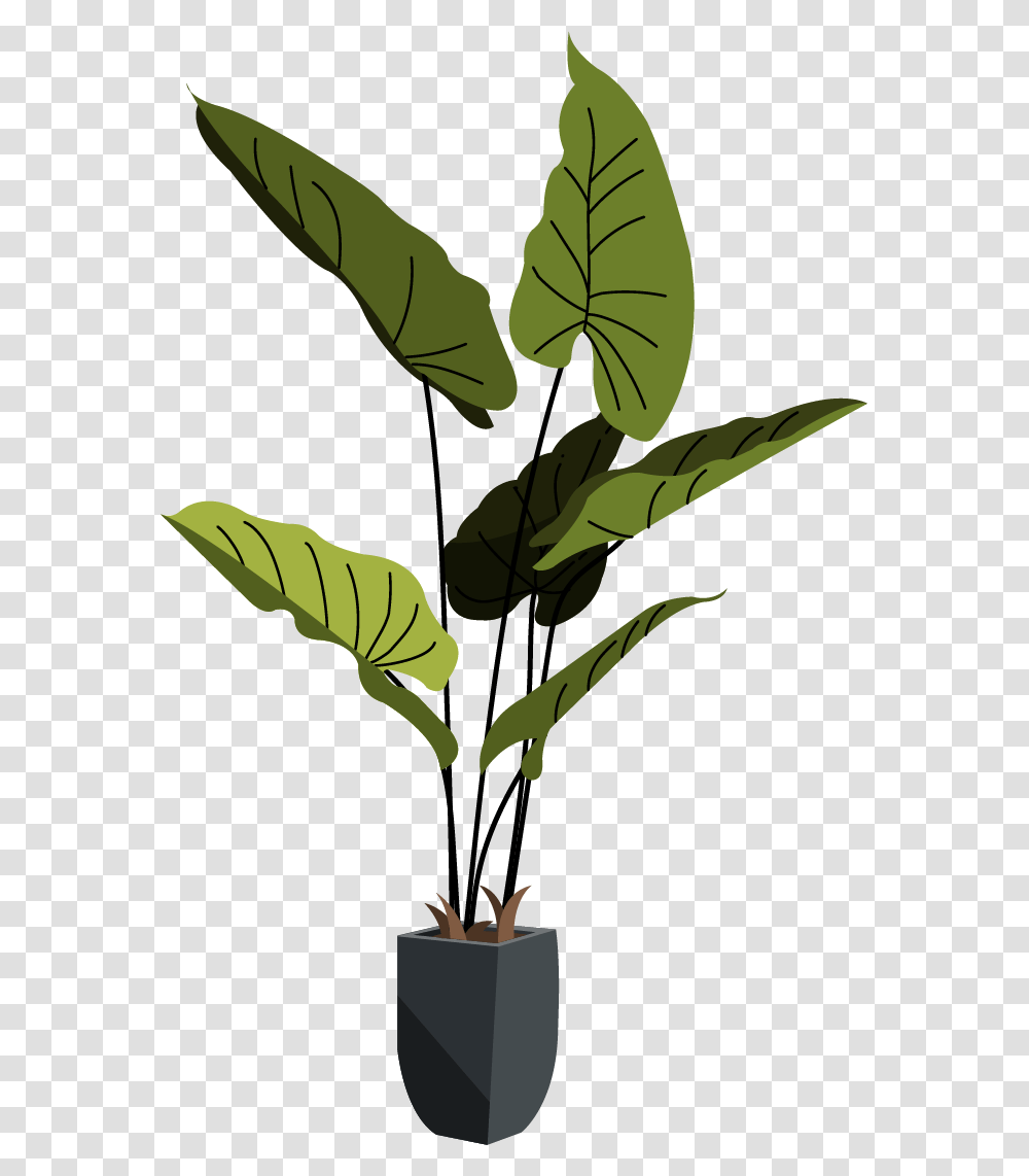 Houseplant, Leaf, Green, Tree, Flower Transparent Png