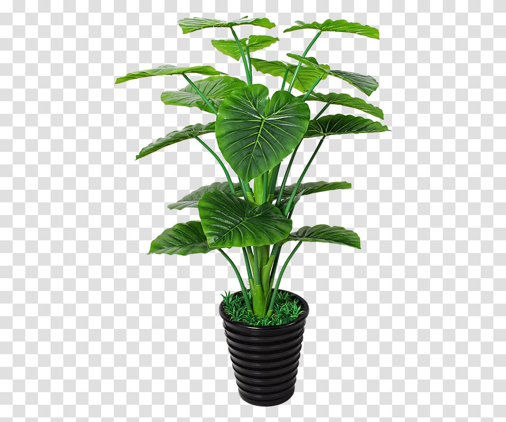 Houseplant, Leaf, Palm Tree, Arecaceae, Flower Transparent Png