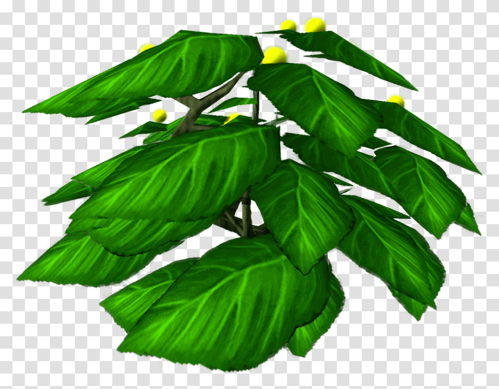 Houseplant, Leaf, Potted Plant, Vase, Jar Transparent Png