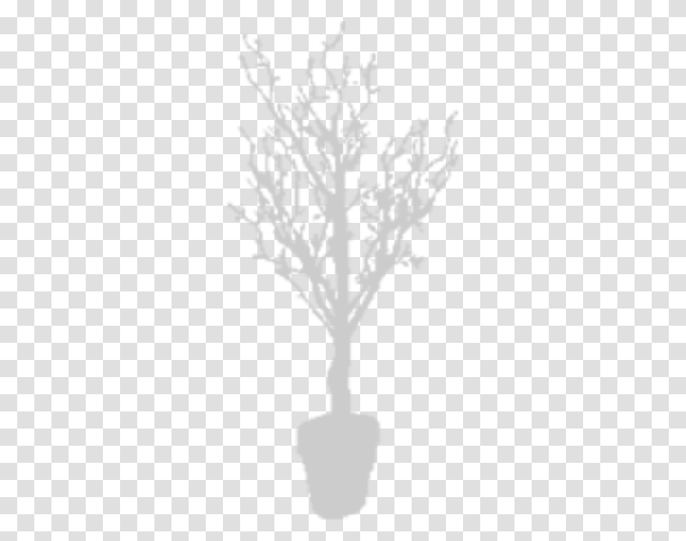 Houseplant, Stencil, Rug Transparent Png