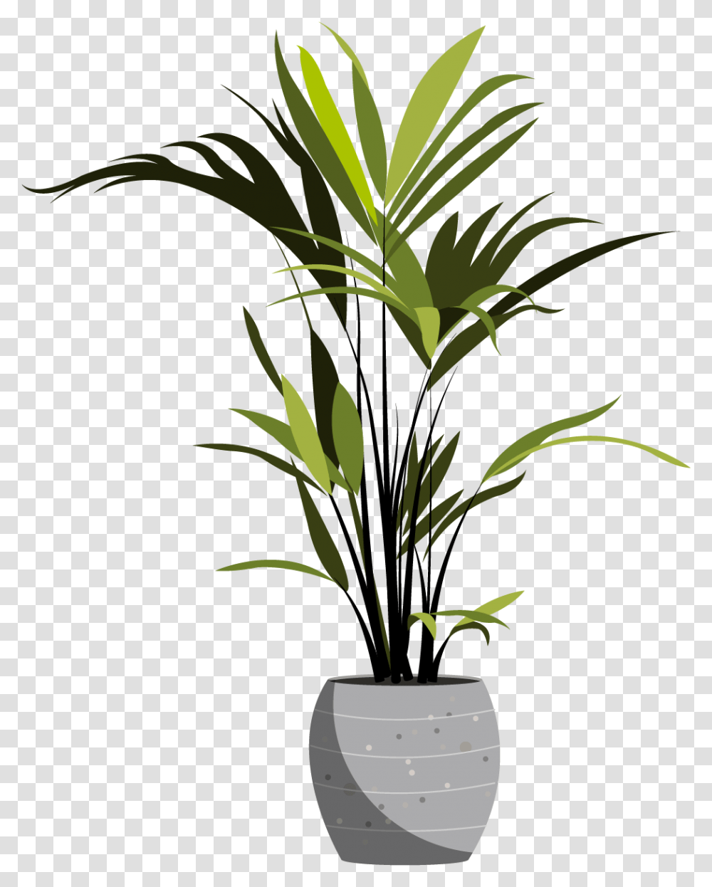 Houseplant Tall, Tree, Palm Tree, Arecaceae, Bamboo Transparent Png