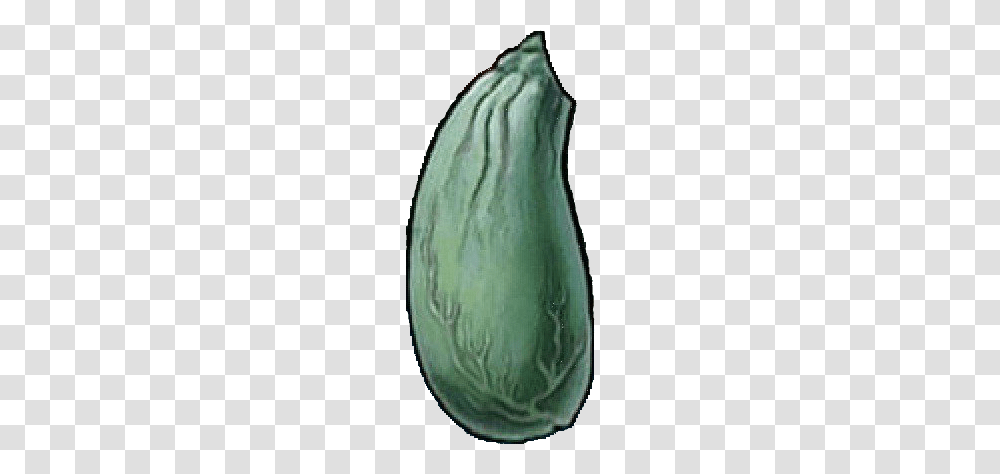 How About Squidwards Nose Instead, Plant, Fruit, Food, Person Transparent Png