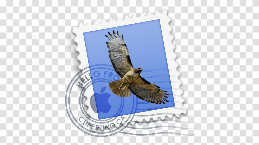 How Can I Send A Message Apple Mail Logo Svg, Bird, Animal, Accipiter, Kite Bird Transparent Png